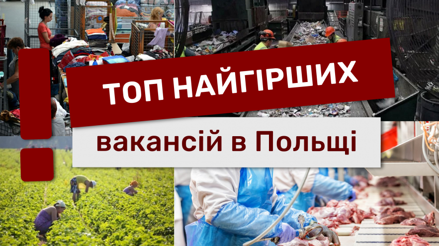 Худшие вакансии труда от экспертки Русланы Бровчук